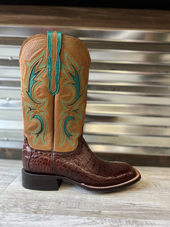 Lucchese Caiman Belly