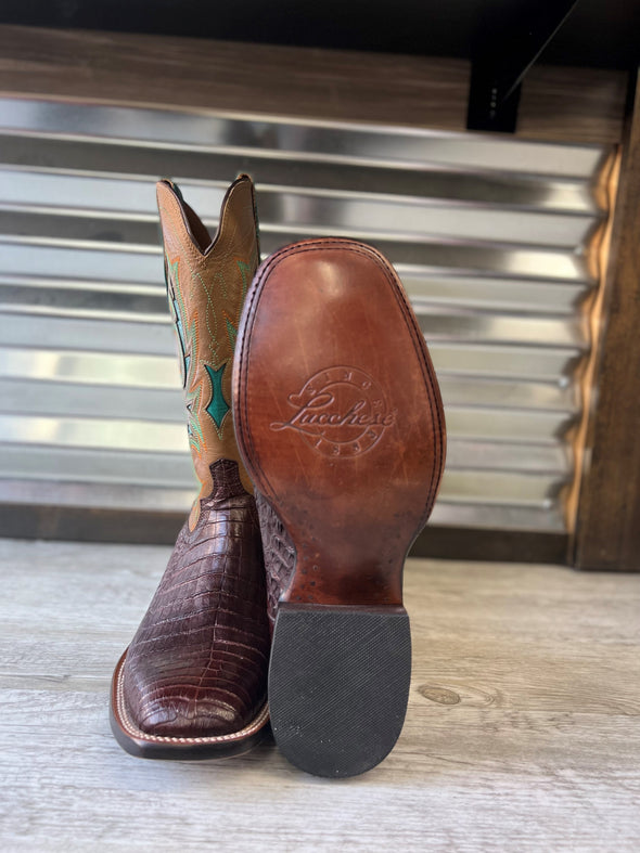 Lucchese Caiman Belly